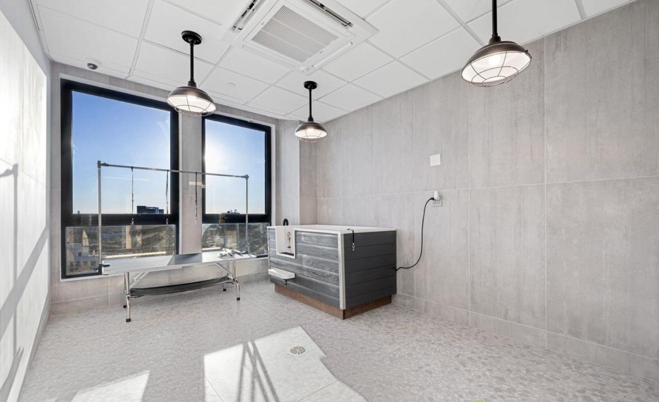 Luxury Studio Apartment in Flatbush, Brooklyn