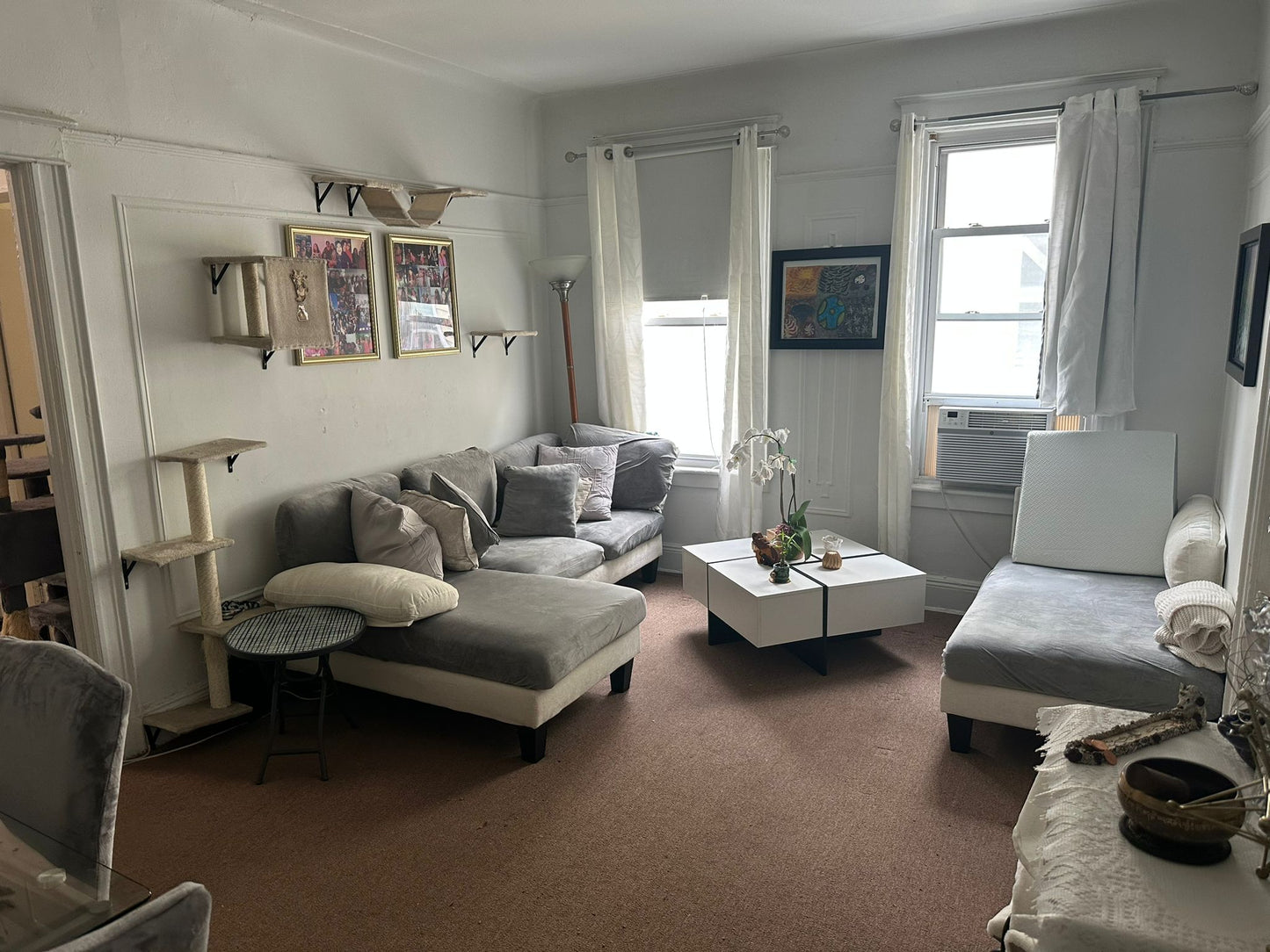 Furnished Room in Elmhurst Queens – Female-Only Home with Cats