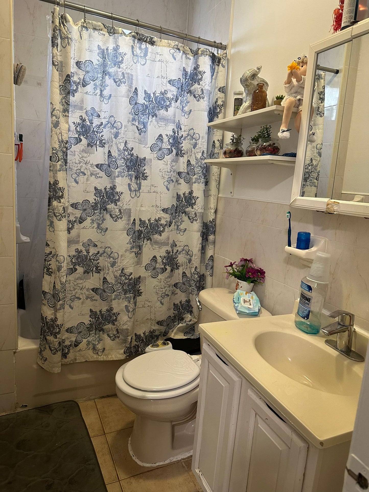 Furnished Room in Elmhurst Queens – Female-Only Home with Cats